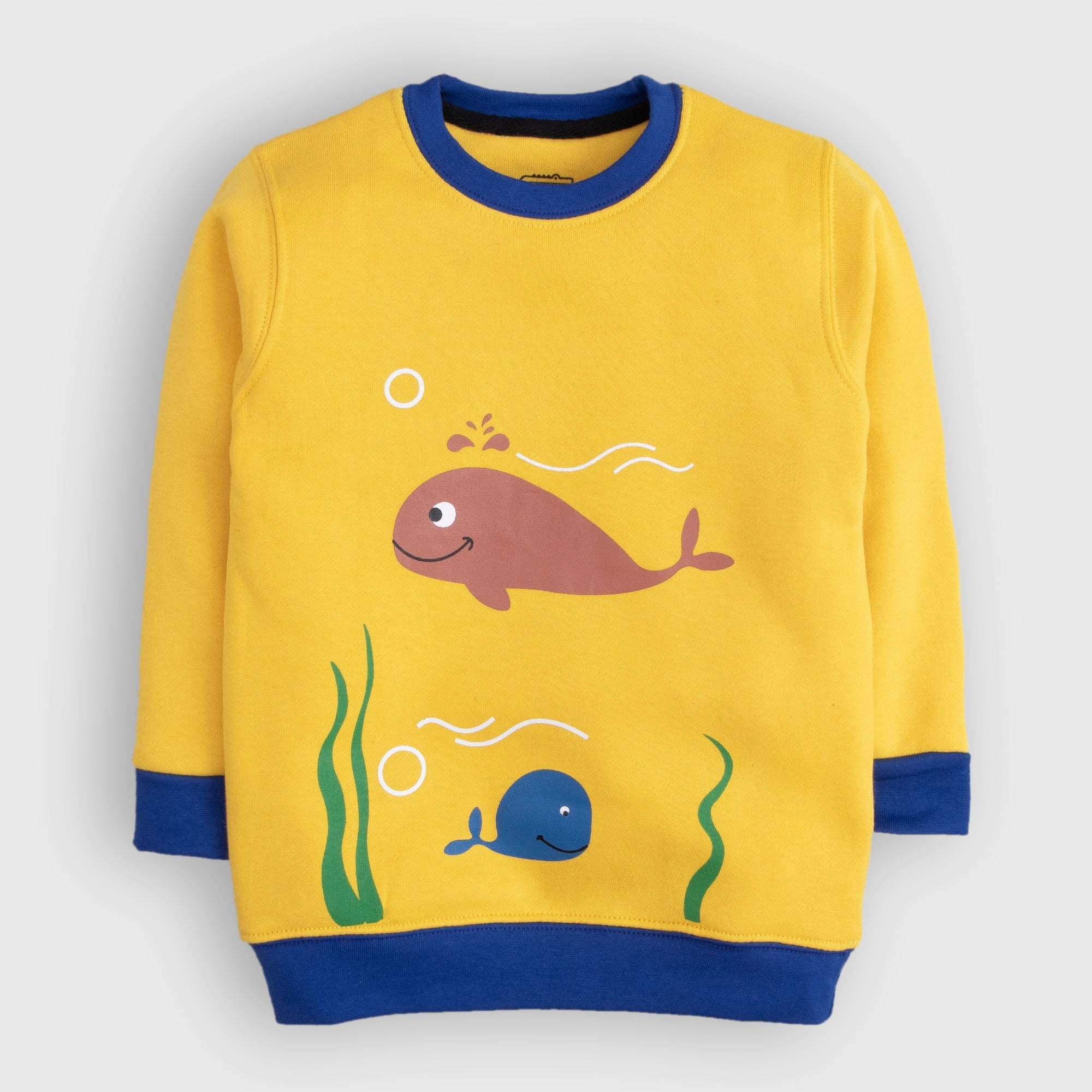 Aquatic Sweatshirt