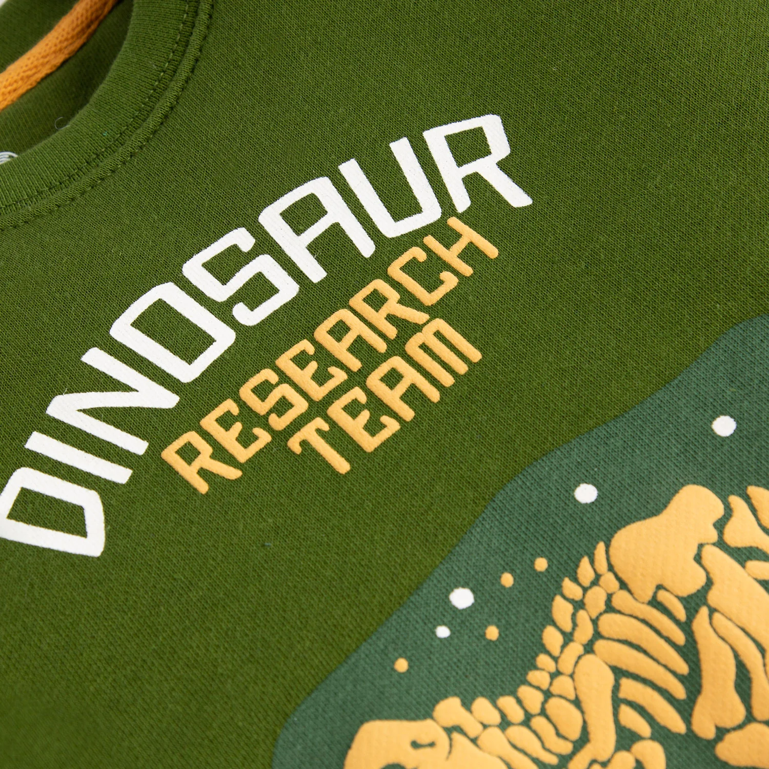 Dinosaur Sweatshirt - Image 2