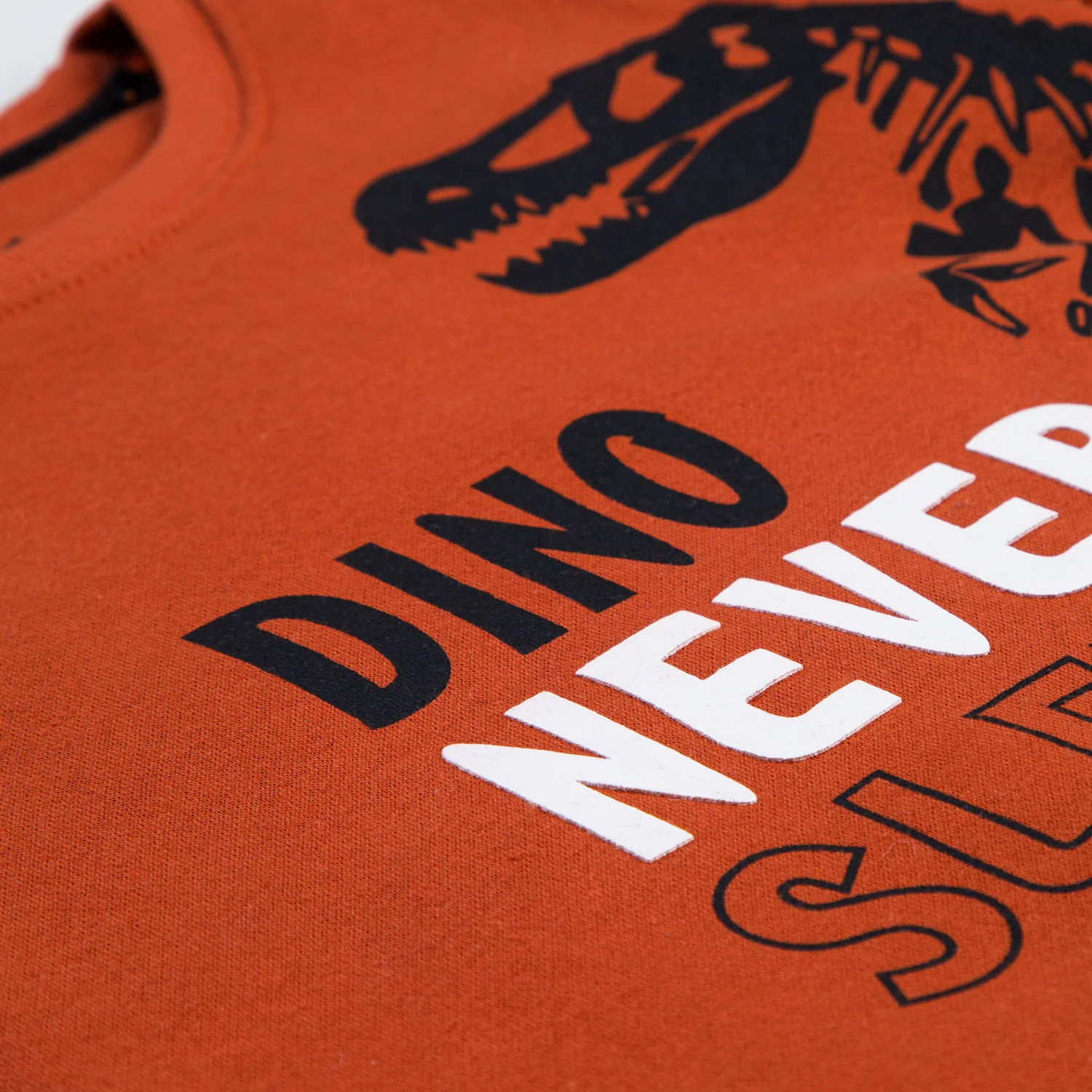Dino City Sweatshirt - Image 2