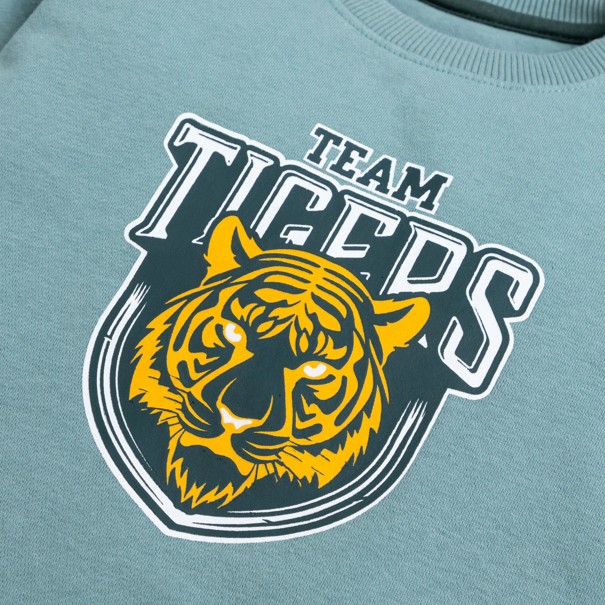 Blue Cub Printed Sweatshirt - Image 2