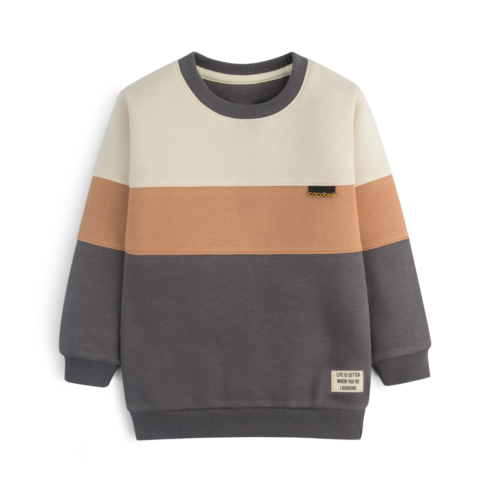 Muted Trio Panel Sweatshirt