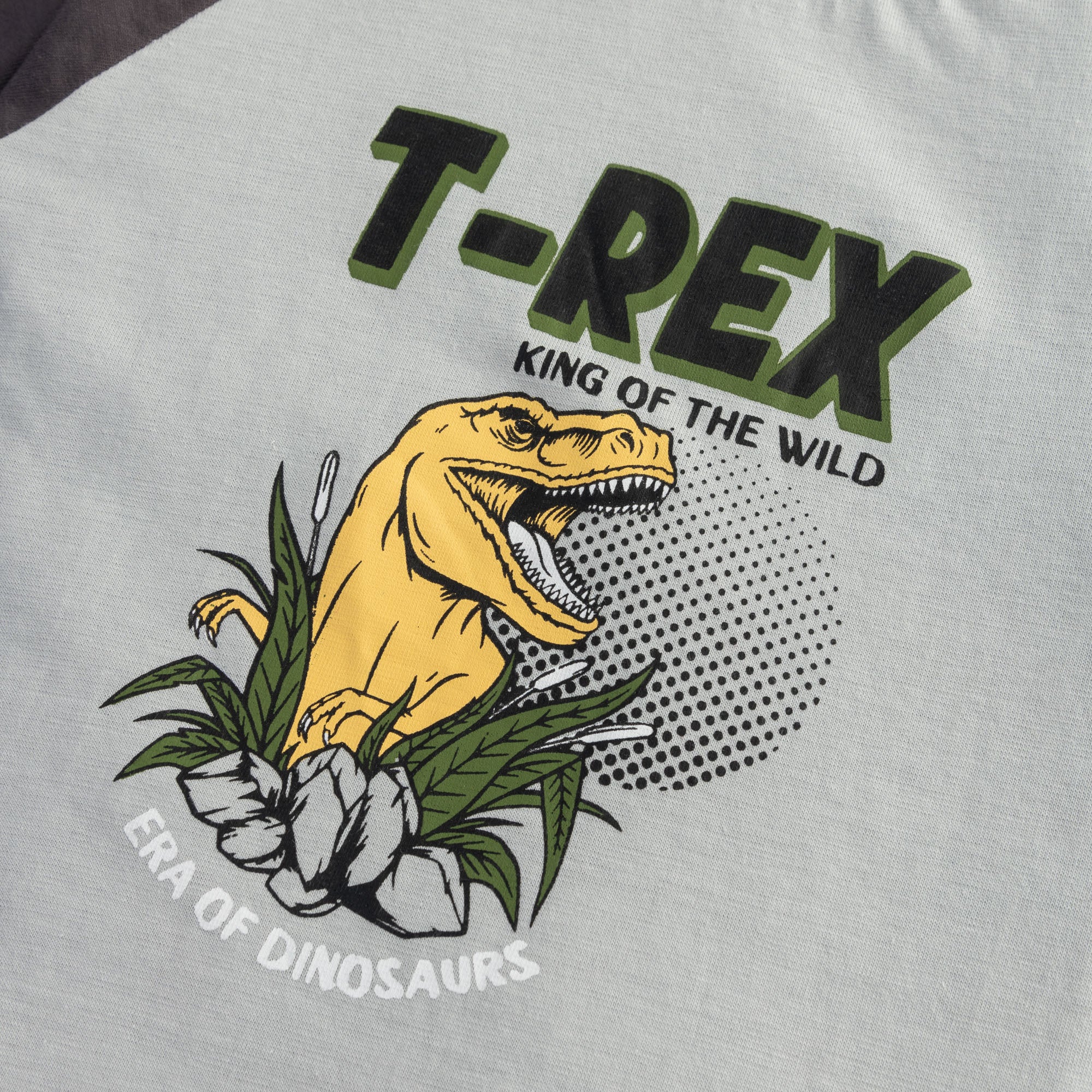 Raglan Sleeves T-shirt - Image 2