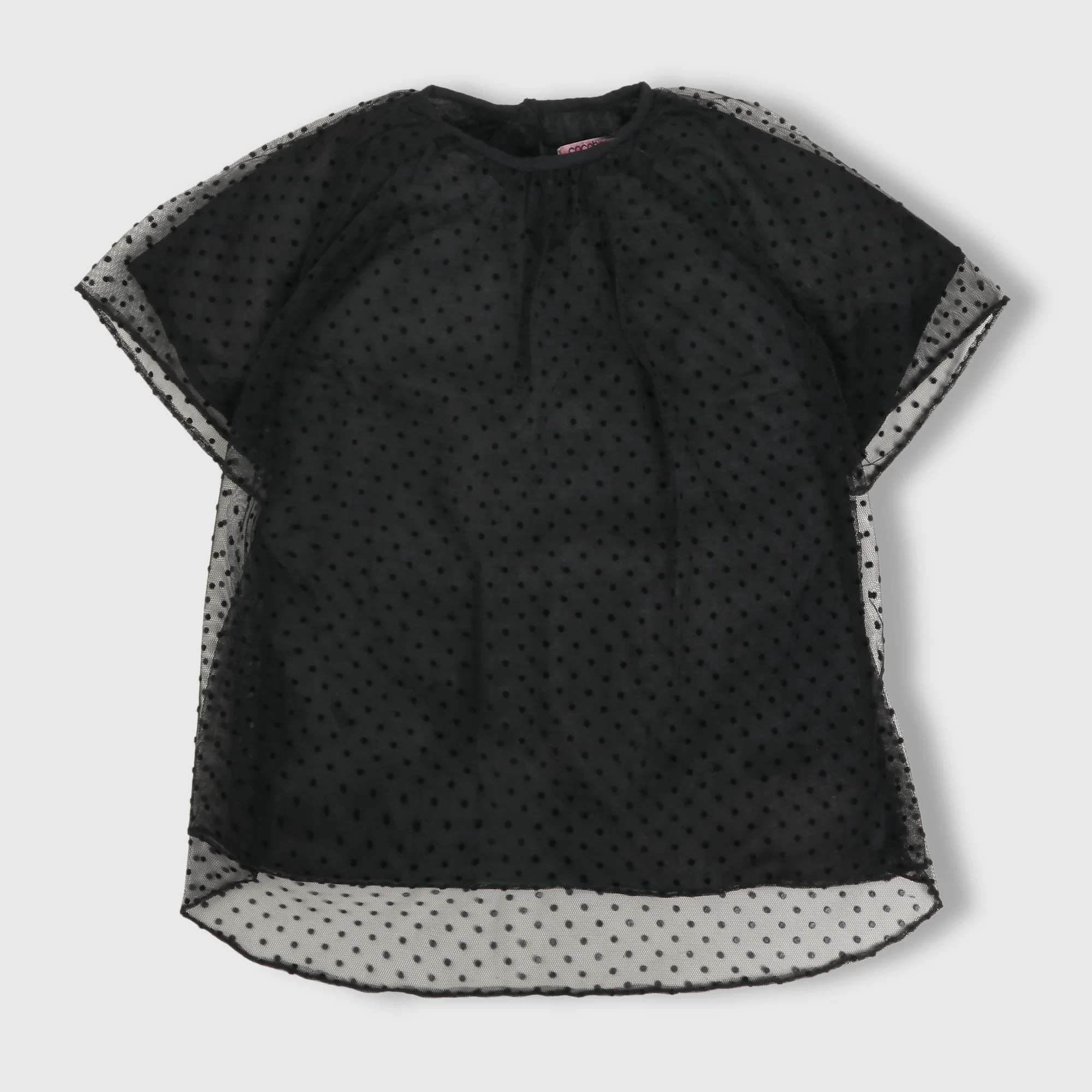 Fabulous Net Top