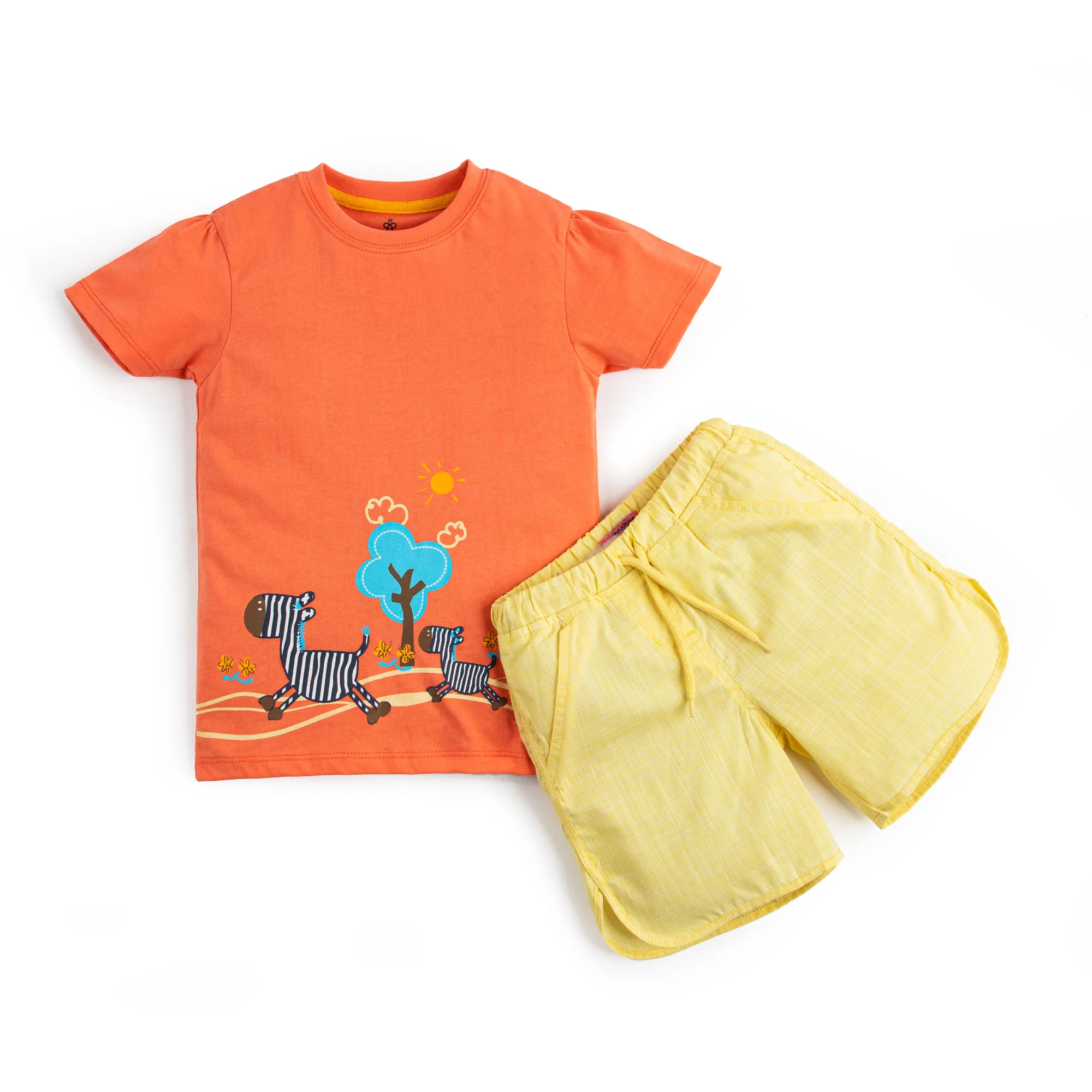Orange Zebra Set